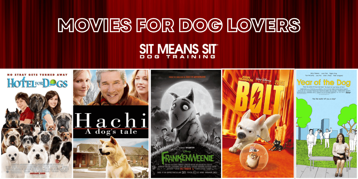 You'll Love These Movies if You Love Dogs