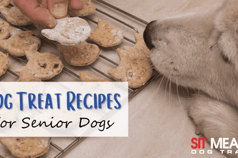 Dog Treat Recipes that are Great for Senior Dogs