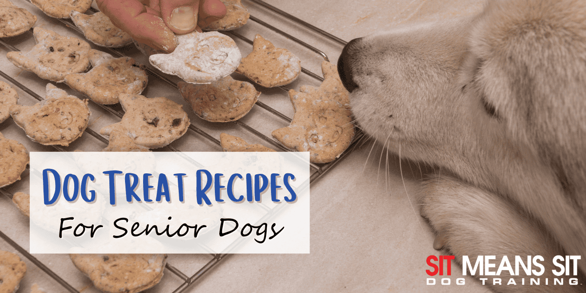 Dog Treat Recipes that are Great for Senior Dogs