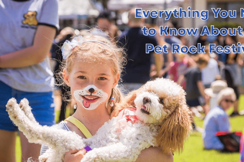 Everything You Need to Know About the Pet Rock Festival!
