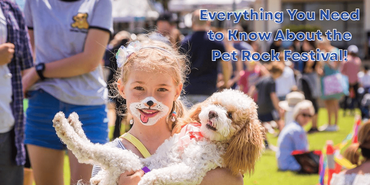 Everything You Need to Know About the Pet Rock Festival!