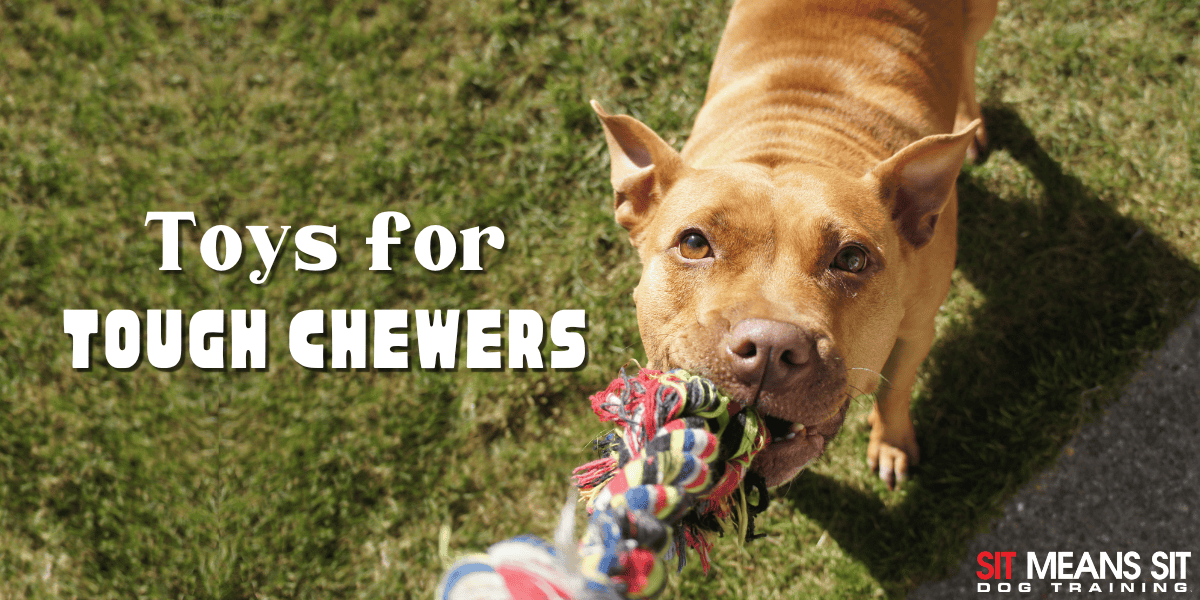 Long-Lasting Chew Toys for Tough Chewers