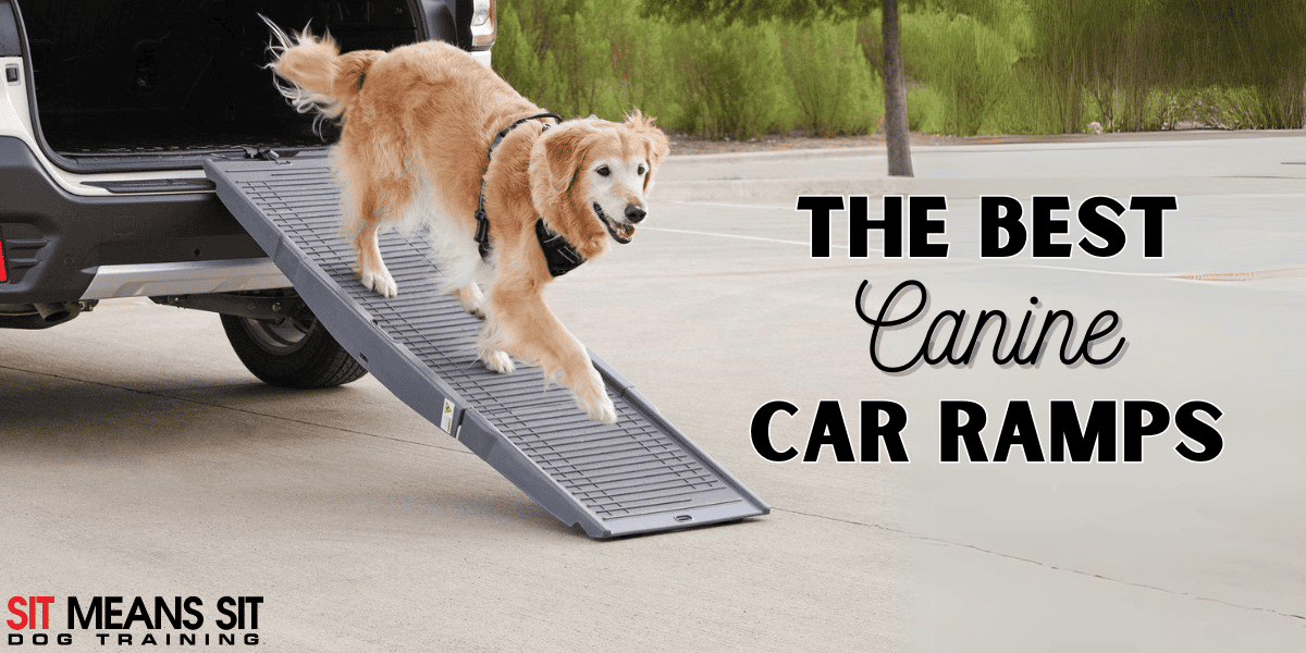 The Best Ramps to Help Fido Get Into Your Vehicle